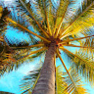 Meet your Posher, Morgana